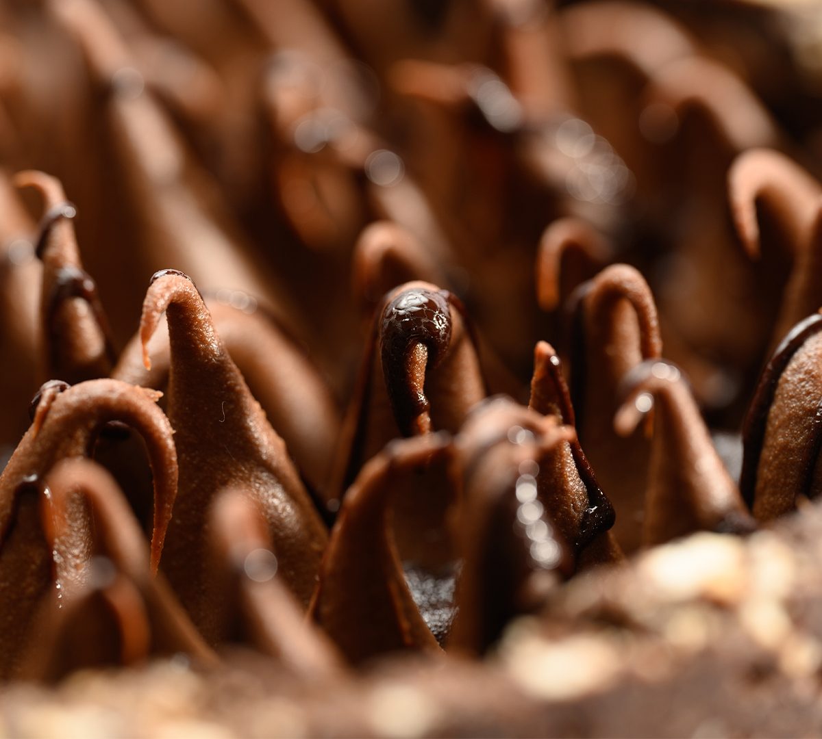 Tarta Salchichón y dulce de leche (5 a 6 porciones) - Imagen 4